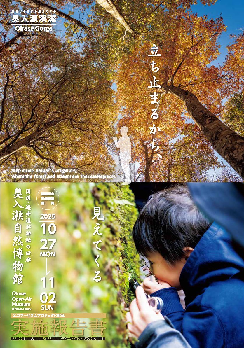 2025年度 実施報告