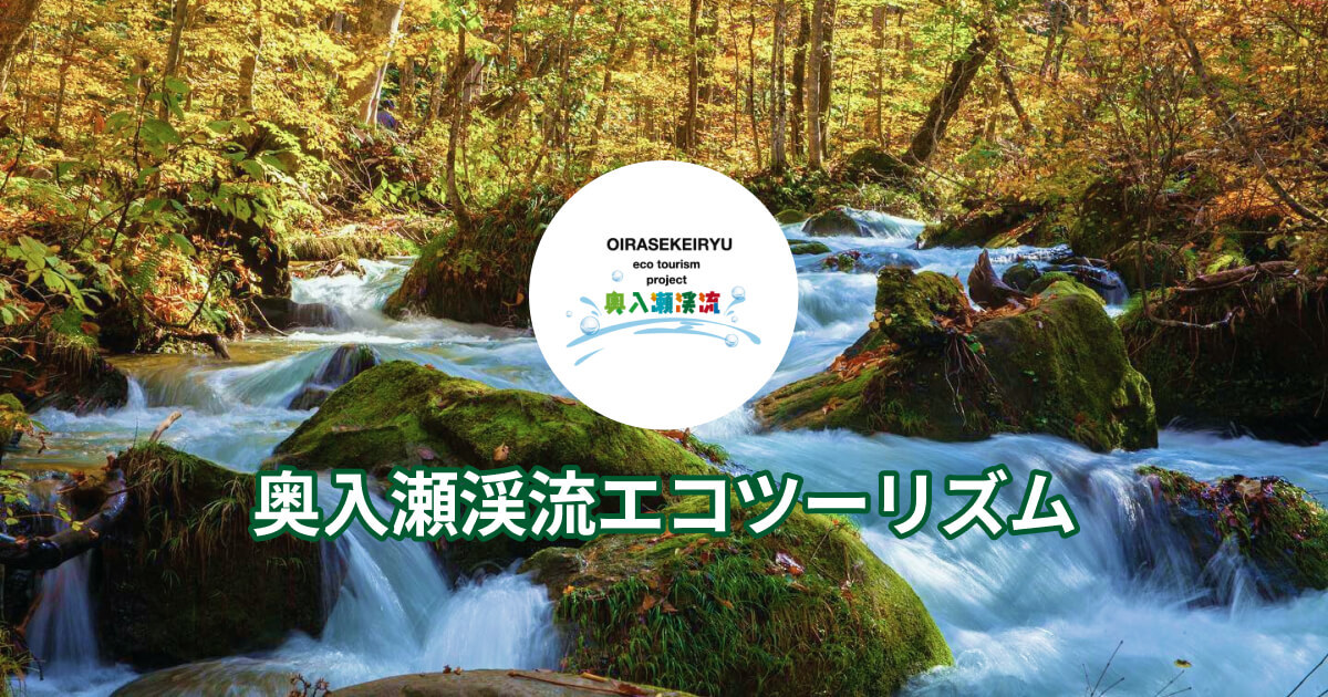 9月13日限定】奥入瀬自然博物館オリジナルツアー販売開始！